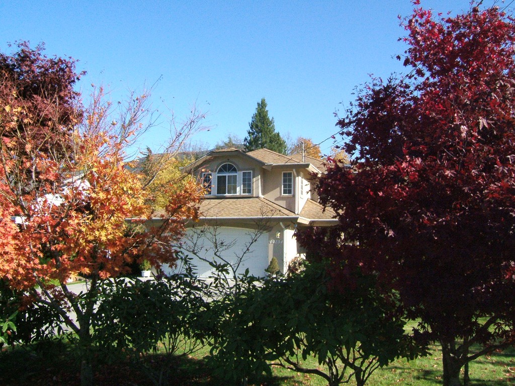 Squamish Homes for Sale Brackendale Real Estate Listings